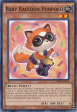 Baby Raccoon Ponpoko [MP14-EN136] Common Supply